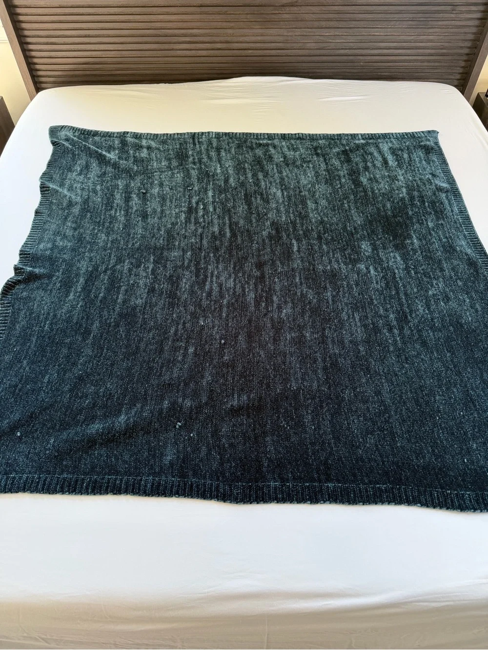 West Elm Chenille Throw